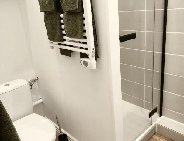 Une salle de bain avec douche et toilettes, associée à une chambre pour 2 personnes