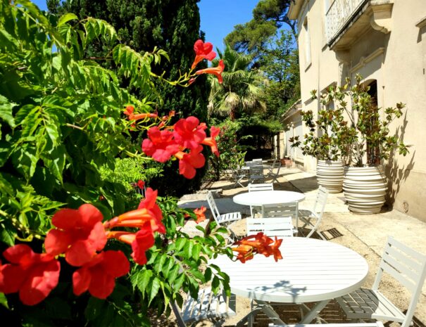 Terrasse extérieur avec de petites tables rondes à côté de l'entrée de la Bastide Castella. Des fleurs rouges sont en gros plan.