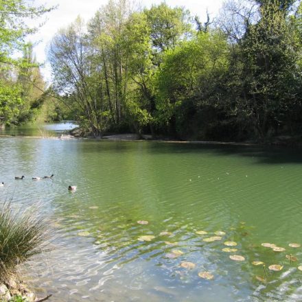 Le Lez, rivière à proximité de la Bastide Castella à Montpellier